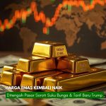 pt kontak perkasa futures